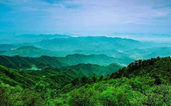 临安天目山疗养3日游