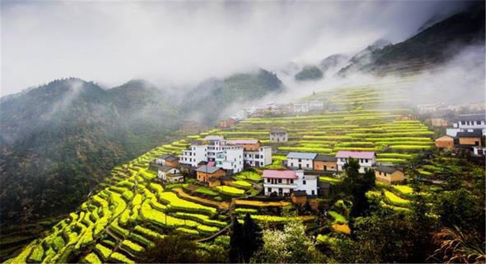 【金艳温州】华东最美油菜花.龙游石窟.江郎山5日