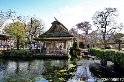 日本本州茶道体验+上野公园+锦市场6日游（东阪）
