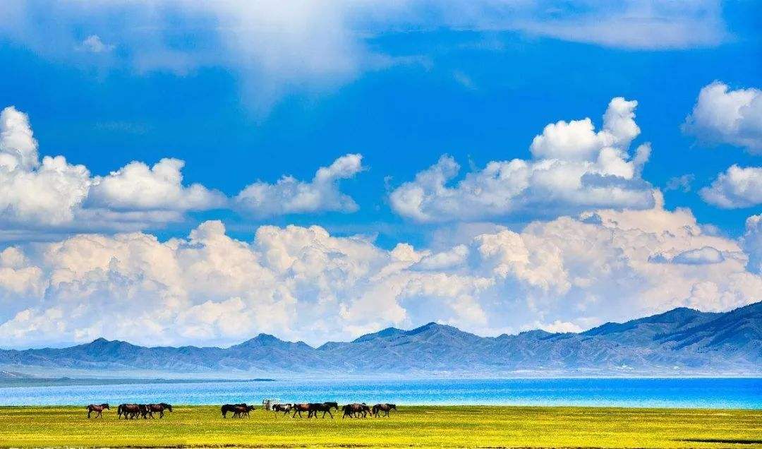 新疆双飞疗养8日游